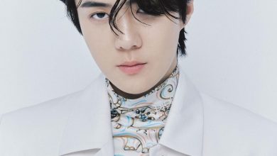 Exo-L Penuhi Central Park, Meet and Greet Oh Sehun Dibubarkan