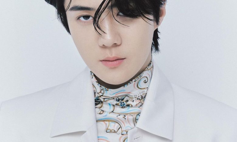 Exo-L Penuhi Central Park, Meet and Greet Oh Sehun Dibubarkan