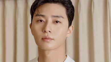 Park Seo Joon Bakal Tampil di Film Hollywood The Marvels