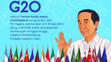3 Kepala Negara Absen dari KTT G20 Bali, Mengapa? Bendera negara-negara yang hadir di KTT G20 Bali. Sumber IG @jokowi