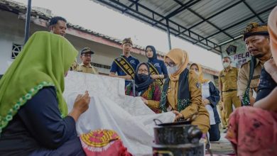 Bupati Blitar Rini Syarifah meninjau program OVOP. Sumber IG @pemkab_blitar