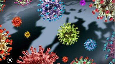 Penularan Varian XBB Lebih Cepat, Pemerintah Ingin Masyarakat Sadar Vaksin Booster Penularan Varian XBB Lebih Cepat, Pemerintah Ingin Masyarakat Sadar Vaksin Booster