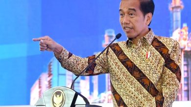 Kalah dari WTO, Jokowi Tetap Perintahkan Banding dan Lakukan Hilirisasi Bahan Tambang