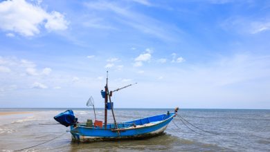 Solar Langka, Pendapatan Nelayan Seret