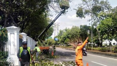 Kegiatan pemotongan pohon serentak di DKI Jakarta. Sumber IG @tamanhutandki