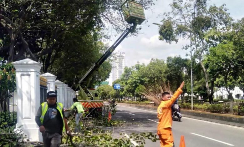 Kegiatan pemotongan pohon serentak di DKI Jakarta. Sumber IG @tamanhutandki