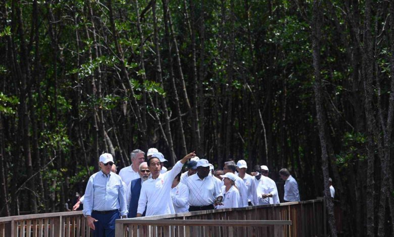 Kunjungan Jokowi bersama para pemimpin G20 di Taman Hutan Raya Ngurah Rai, Bali. Sumber Indonesia.go.id