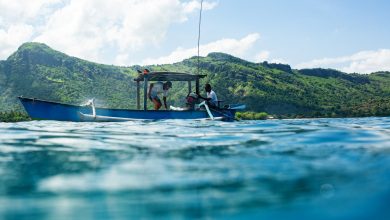 Satu Bulan Puger Krisis Solar, Nelayan Kalang Kabut Ilustrasi kegiatan melaut