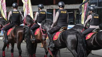 Dukung Tekan Emisi Karbon, Polri Terjunkan Polisi Berkuda di KTT G20 Pasukan Polisi Berkuda Polri Sumber Foto Twiter @ini_polisi