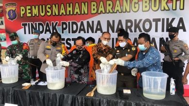 Kejari Pariaman Musnahkan 15 Kg Ganja dan 36 Gram Sabu Kejari Pariaman Musnahkan 15 Kg Ganja dan 36 Gram Sabu