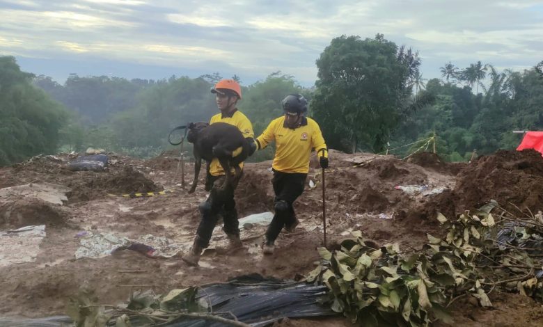 Anjing Pelacak Yang Bantu Temukukan 3 Korban Gempa Cianjur