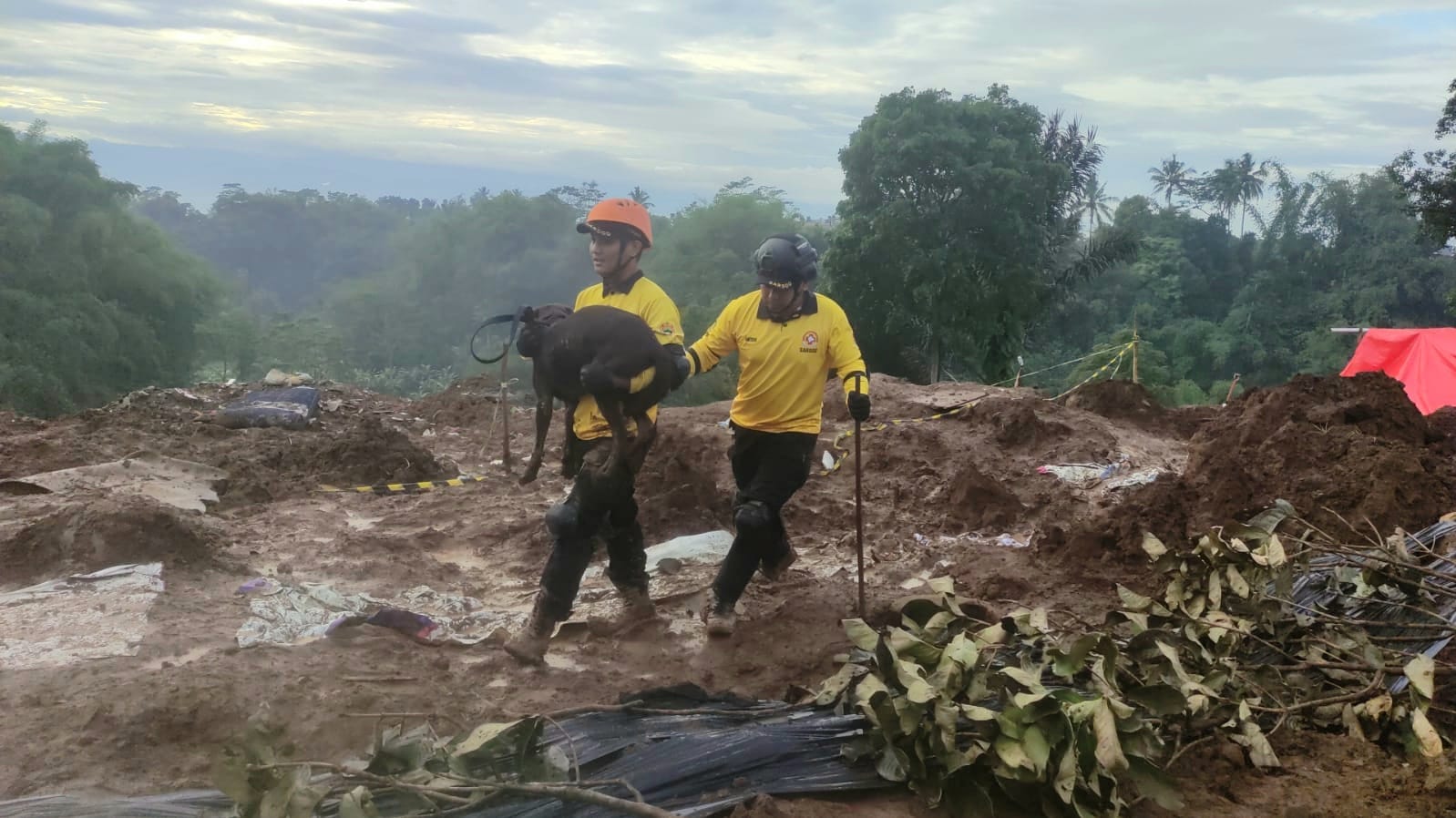 Anjing Pelacak Yang Bantu Temukukan 3 Korban Gempa Cianjur