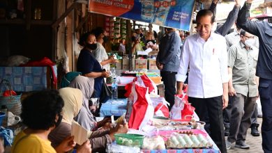 Jokowi saat bagikan BLT untuk pedagang Pasar Malang Jiwan. Sumber Foto: Instagram @sekretariat.kabinet