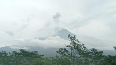 Gunung Semeru Kembali Erupsi Hingga Ketinggian 800 m