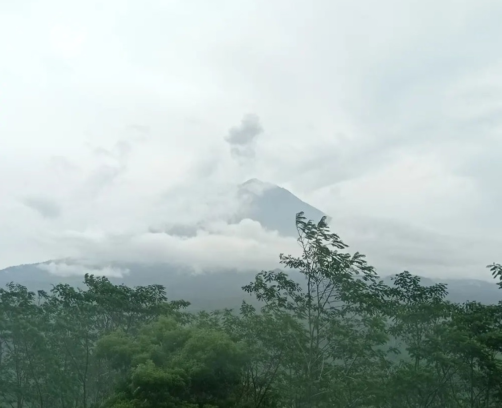 Gunung Semeru Kembali Erupsi Hingga Ketinggian 800 m