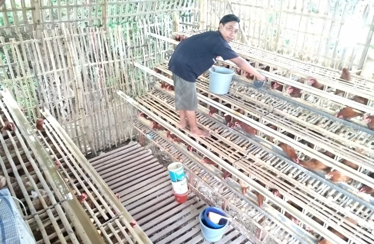 Fathur Rohman, dari Tukang Bengkel Hingga jadi Bos Ayam Petelur