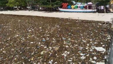 Sampah Kiriman Malaysia Cemari Pantai Berau Kaltim