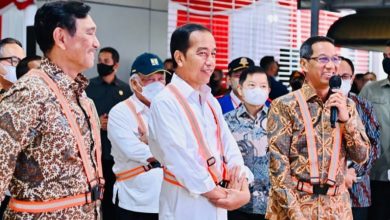 Heru Budi Hartono Bersama Jokowi. Sumber Foto: Instagram @herubudihartono