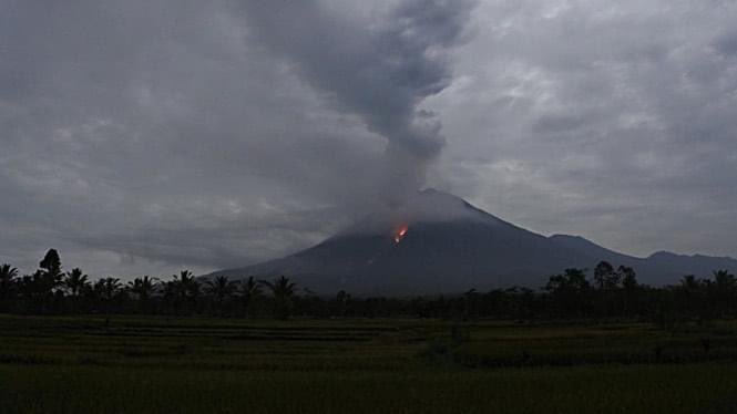 Pemkab Lumajang Tetapkan Masa Tanggap Darurat Bencana 14 Hari Kedepan