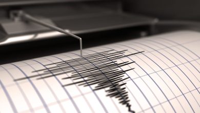 Getaran Gempa di Jember Terasa Hingga Bali