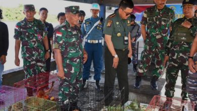 TNI AL Pontianak Tangkap Kapal Vietnam, Belasan Satwa Berhasil Dilindungi