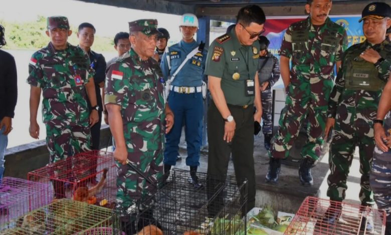 TNI AL Pontianak Tangkap Kapal Vietnam, Belasan Satwa Berhasil Dilindungi