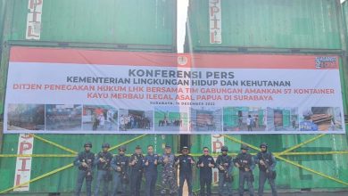 KLHK Gagalkan Penyelundupan 57 Kontainer Kayu