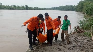 Temuan mayat di aliran sungai bengawan solo. Sumber foto: Instagram @bpbd_bojonegoro