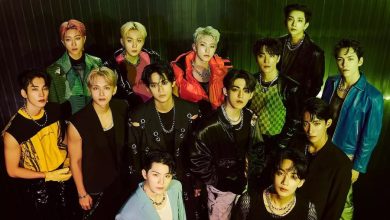 Sasaeng Fan Berulah, Agensi SEVENTEEN Naik Pitam