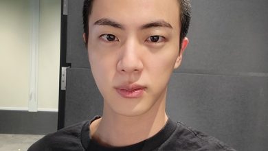 Jin BTS, Idol K-pop