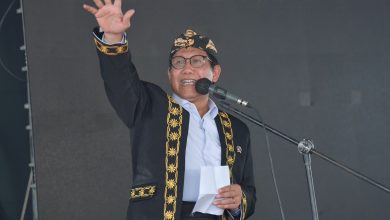 Mendes PDTT, Abdul Halim Iskandar