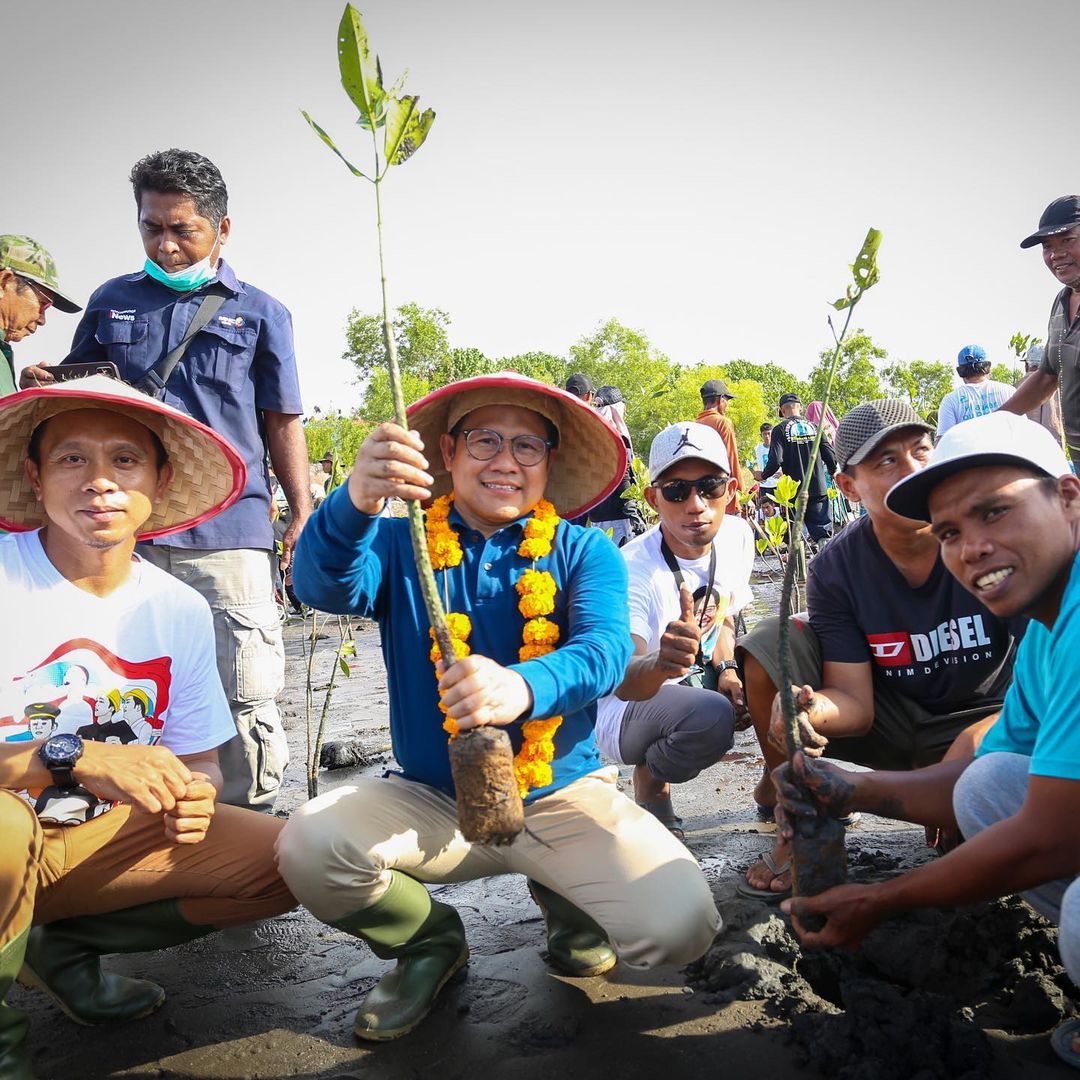 Cak Imin Menanam Mangrove Bersama Nelayan