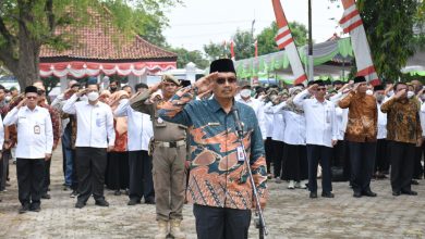 Kemendes PDTT Bakal Revitalisasi 619 Kawasan Transmigrasi