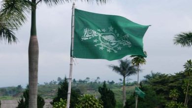 Benderah Nahdlatul Ulama. Sumber Foto: website nublitar.