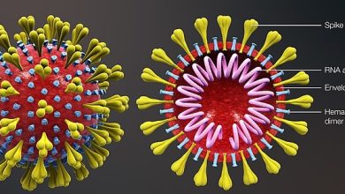 Struktur RNA Genome SARS-Cov-2. Sumber Foto: website medicine.umich.edu.