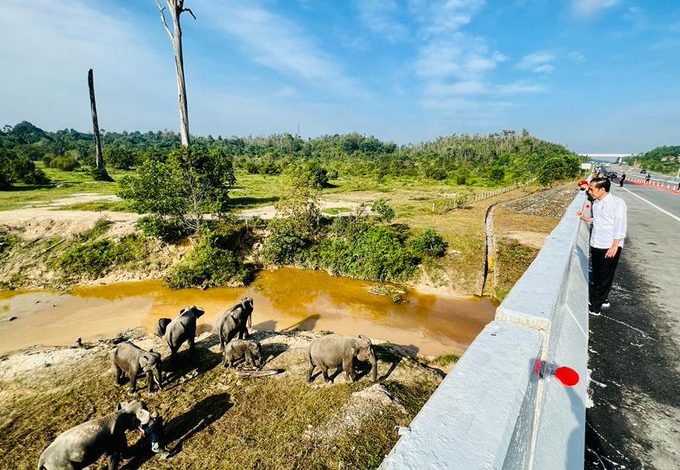 Jokowi Pantau Perlintasan Gajah Sumatra. Sumber Foto: Instagram/ @jokowi