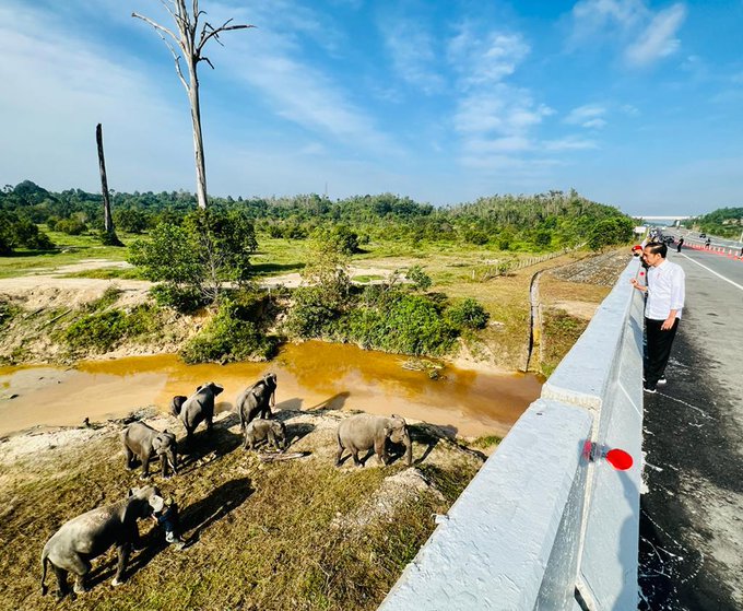 Jokowi Pantau Perlintasan Gajah Sumatra. Sumber Foto: Instagram/ @jokowi