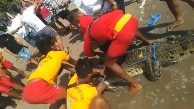 Buaya berhasil diamankan oleh tim Badan Penyelamat Wisata Badung (Balawista Badung) bersama warga. Sumber Foto: SS Instagram @balawistabadung