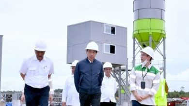 Kunjungi Kawasan Industri Hijau Kaltara, Jokowi: Akan Jadi Kawasan Industri Terbesar di Dunia