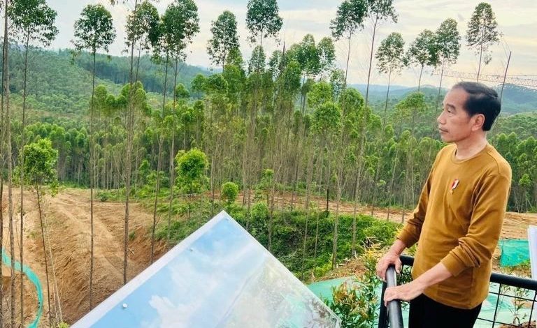 Presiden Joko Widodo mengunjungi kawasan IKN. Sumber Foto: Instagram @jokowi