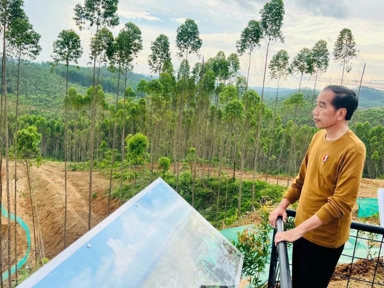 Presiden Joko Widodo mengunjungi kawasan IKN. Sumber Foto: Instagram @jokowi