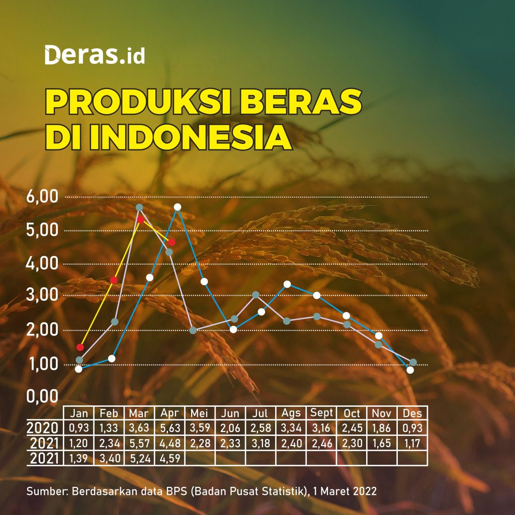 Bola Salju Impor Beras di Negara Agraris