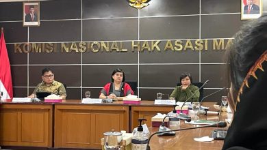 Atnike Nova Sigiro (Komnas HAM) . Sumber Foto: Tangkapan Layar Twitter @KomnasHAM