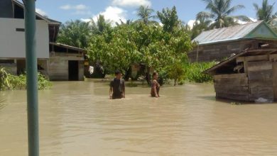 Pemukiman warga terdampak banjir setinggi pinggang orang dewasa. Sumber foto: BPBD Luwu Utara