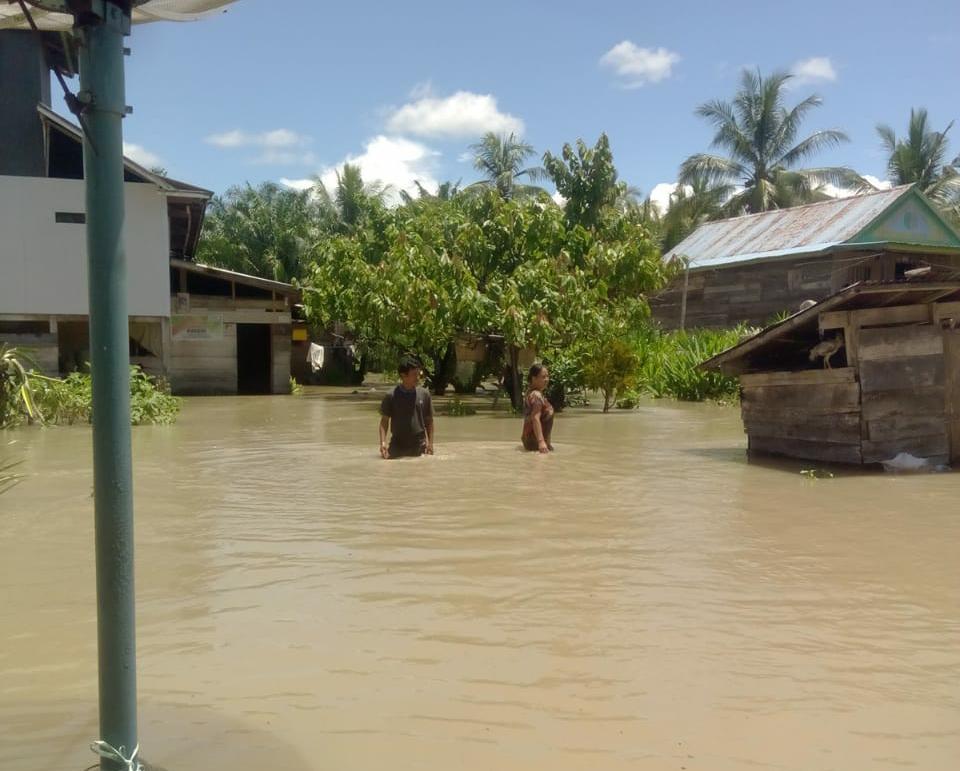 Pemukiman warga terdampak banjir setinggi pinggang orang dewasa. Sumber foto: BPBD Luwu Utara