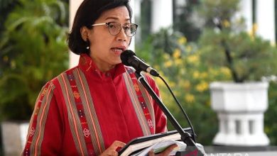 Sri Mulyani (Kemenkeu). Sumber Foto: info Publik