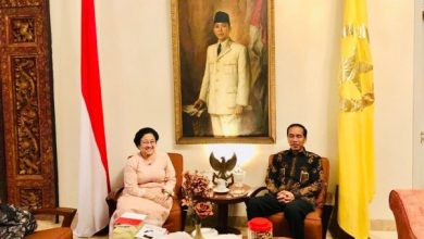 Presiden Jokowi bersama Megawati Soekarnoputri. Sumber Foto: Instagram @Leonita_Lestari
