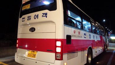 Salah satu bus di Korea Selatan. Sumber Foto: twitter @Araghutama