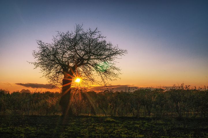 Destinasi Savana Bekol Situbondo Seperti Afrika Van Java