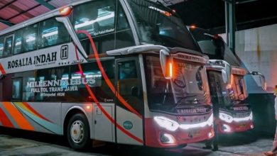 Beberapa Bus yang Nyaman dan Mewah untuk Mudik